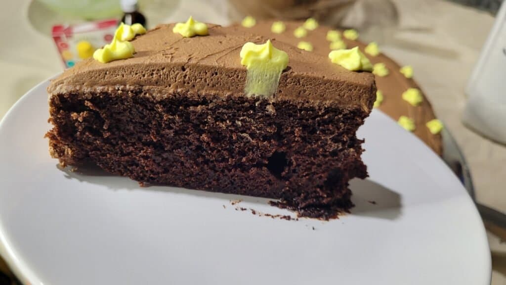 slice of chocolate cake with chocolate icing