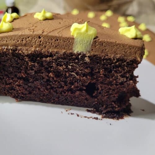 slice of chocolate cake with chocolate icing